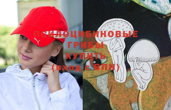 метамфетамин Богородицк