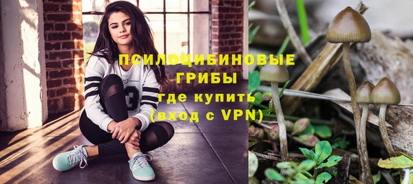 mdpv Богданович