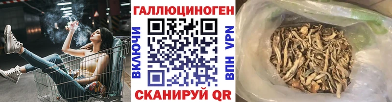 Псилоцибиновые грибы Magic Shrooms  купить закладку  Маркс 